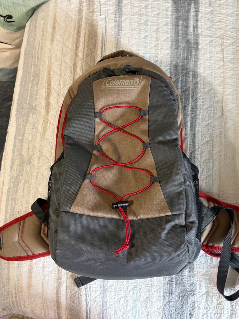 Coleman Men's Brown & Gray Daypack with Red Accents